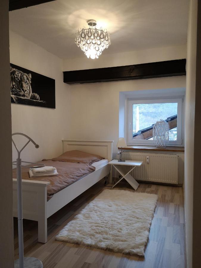Apartment Direkt An Der Waldnaab นอชตัดท์อันแดร์วาล์ดนับ ภายนอก รูปภาพ