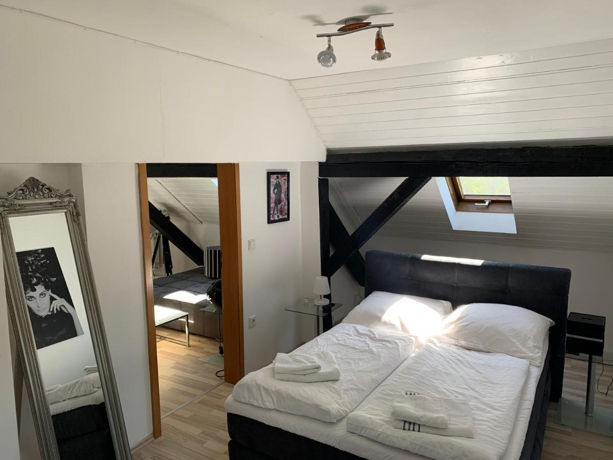 Apartment Direkt An Der Waldnaab นอชตัดท์อันแดร์วาล์ดนับ ภายนอก รูปภาพ